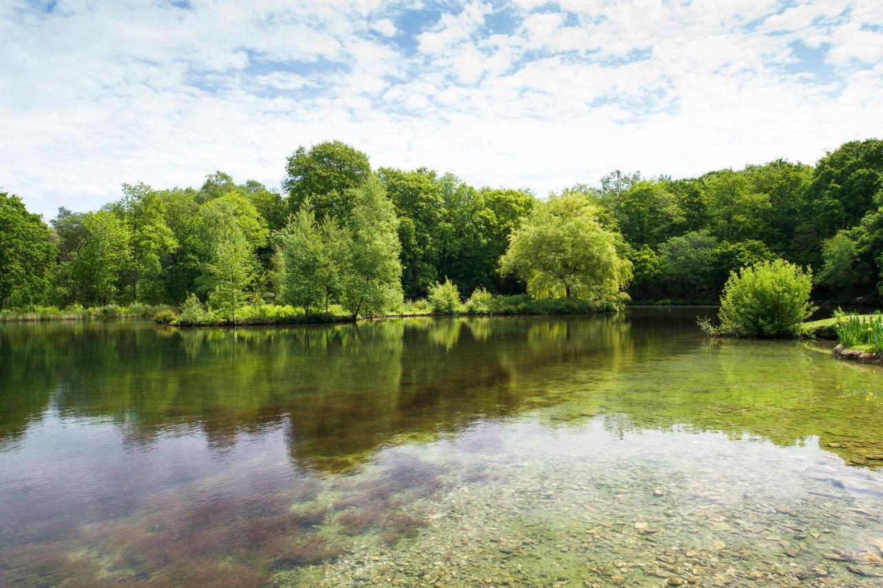 Pinetum Gardens Retreats Otel St Austell Dış mekan fotoğraf