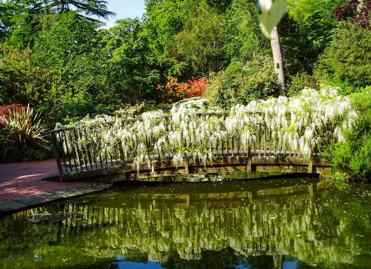Pinetum Gardens Retreats Otel St Austell Dış mekan fotoğraf
