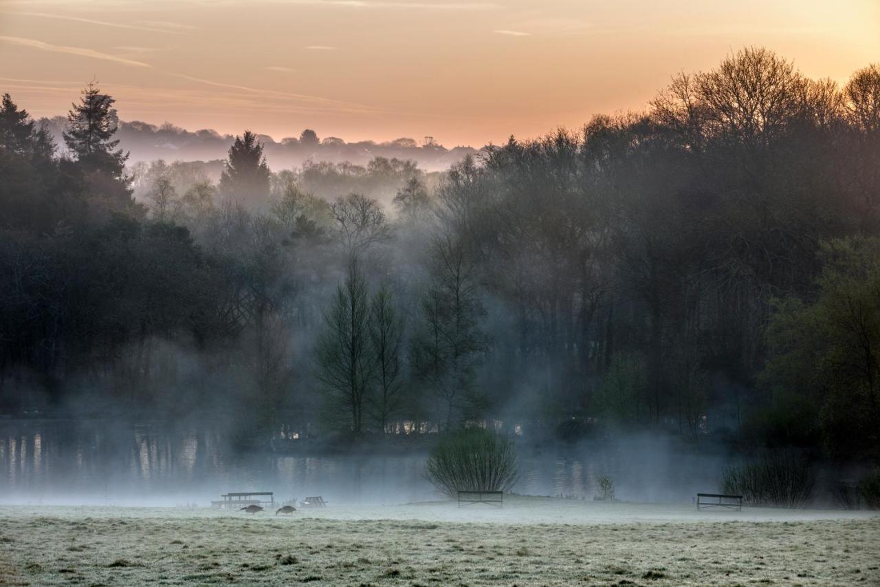 Pinetum Gardens Retreats Otel St Austell Dış mekan fotoğraf