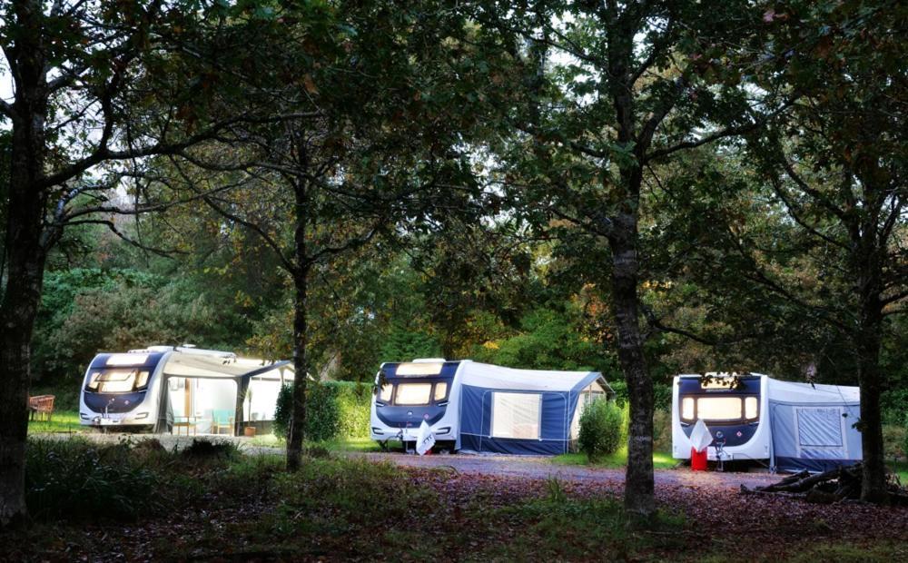 Pinetum Gardens Retreats Otel St Austell Dış mekan fotoğraf